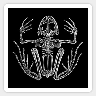 Frog Skeleton Sticker